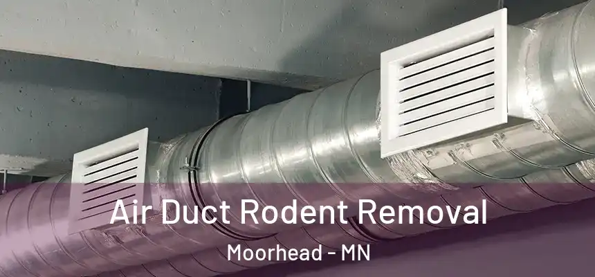  Air Duct Rodent Removal Moorhead - MN