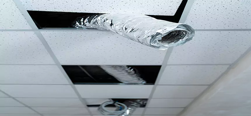 Affordable HVAC Sanitizing After Pest Removal in Moorhead