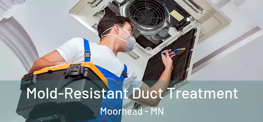  Mold-Resistant Duct Treatment Moorhead - MN