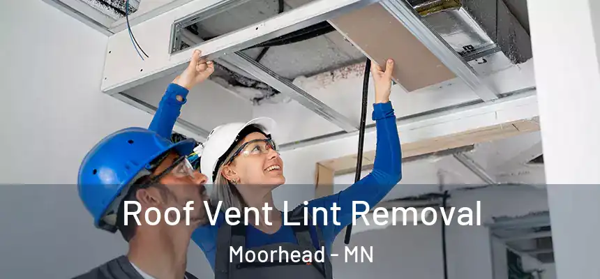  Roof Vent Lint Removal Moorhead - MN