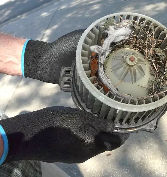 About Air Duct Mice Removal in Moorhead, MN