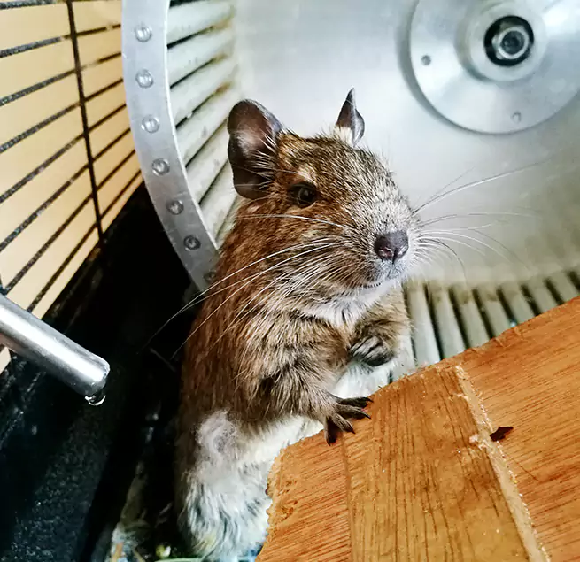 Why Homeowners & Businesses Trust Us Moorhead, MN?